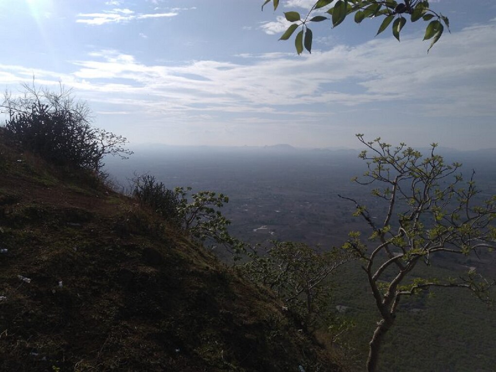 Maharashtra weather updates : नव्या वर्षात हवामानाचे नवे तालरंग; राज्याच्या ‘या’ भागात पावसाची शक्यता
