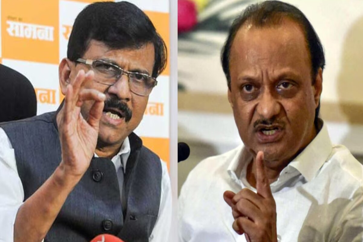 तर आधी तुम्ही पडाल म्हणणाऱ्या संजय राऊतांना अजित पवारांचे प्रत्युत्तर; म्हणाले, 'सोम्या गोम्याच्या…'