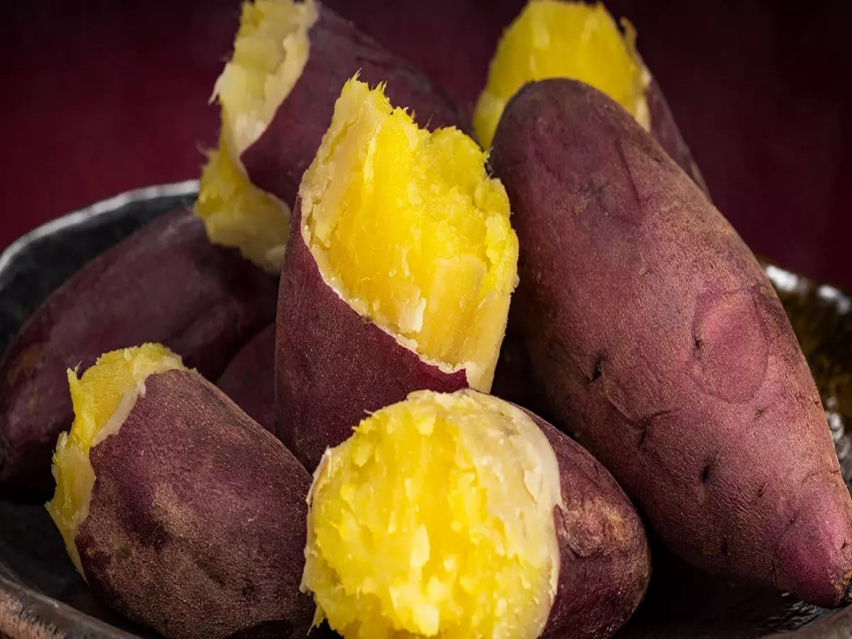 Diabetes चे रुग्ण रताळं खाऊ शकतात का? पाहा आहारतज्ज्ञ काय सांगतात