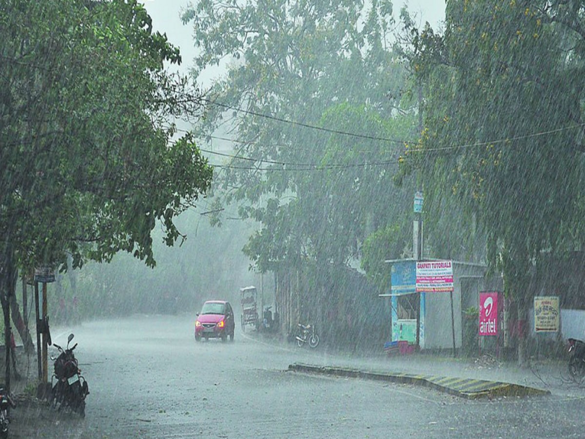 Maharashtra weather : थंडीनं मारली दडी! राज्यातील 'या' भागात पुन्हा 'हिवसाळा' title=