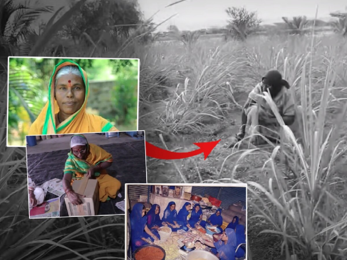 शेतमजूरीच्या पैशातून कोट्यवधींचा मसाला उद्योग उभारणाऱ्या मराठमोळ्या उद्योजिकेचं निधन शेतमजूरीच्या पैशातून कोट्यवधींचा मसाला उद्योग उभारणाऱ्या मराठमोळ्या उद्योजिकेचं निधन