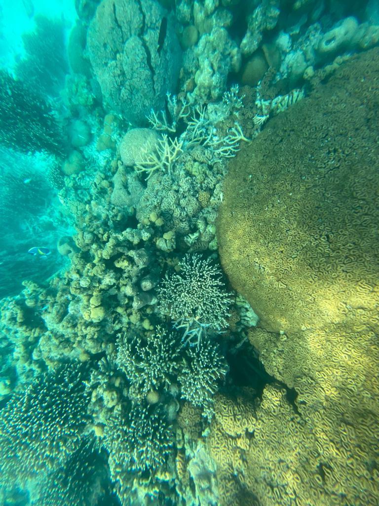 Photos Of PM Modi snorkelling in Lakshadweep