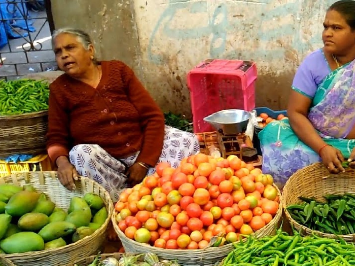 National vegetable of India General Knowledge Marathi News