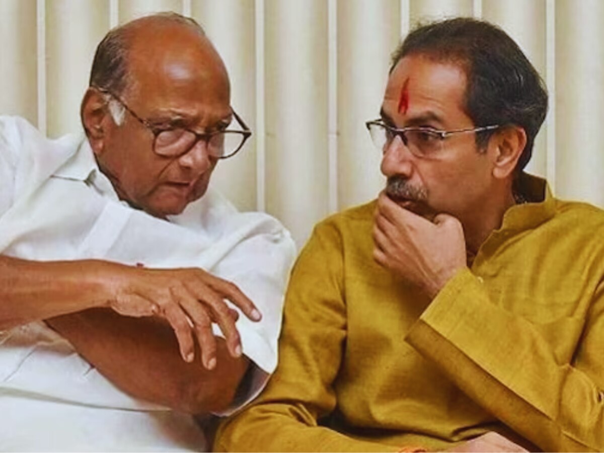 विधानसभा अध्यक्षांच्या निर्णयानंतर शरद पवार यांची पहिली प्रतिक्रिया, उद्धव ठाकरेंना सल्ला देत म्हणाले…