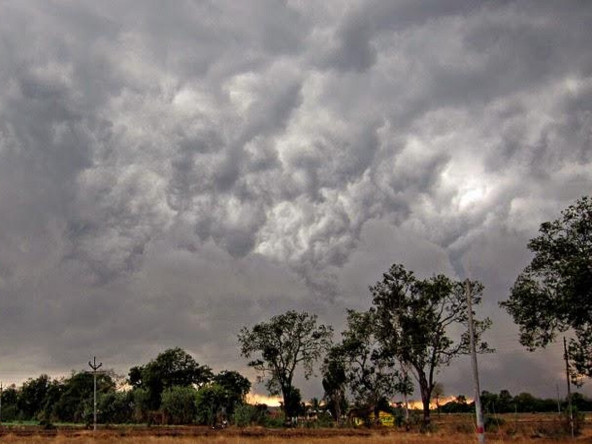 Weather Update भयंकर! 24 तासांत तिन्ही ऋतूंची हजेरी; पाहा विकेंडला