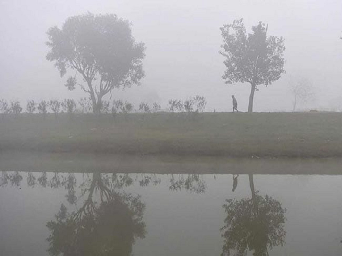 Weather News : हिवाळी सहलींचा बेत सुपरहिट ठरणार; राज्याच्या 'या' भागात गारठा वाढणार  title=