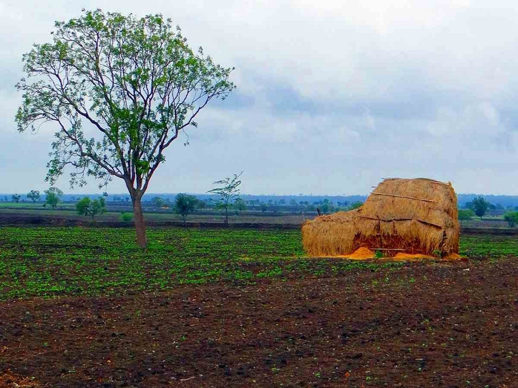 कायद्यानुसार एका व्यक्तीकडे किती जमीन असू शकते? महाराष्ट्रात काय नियम?