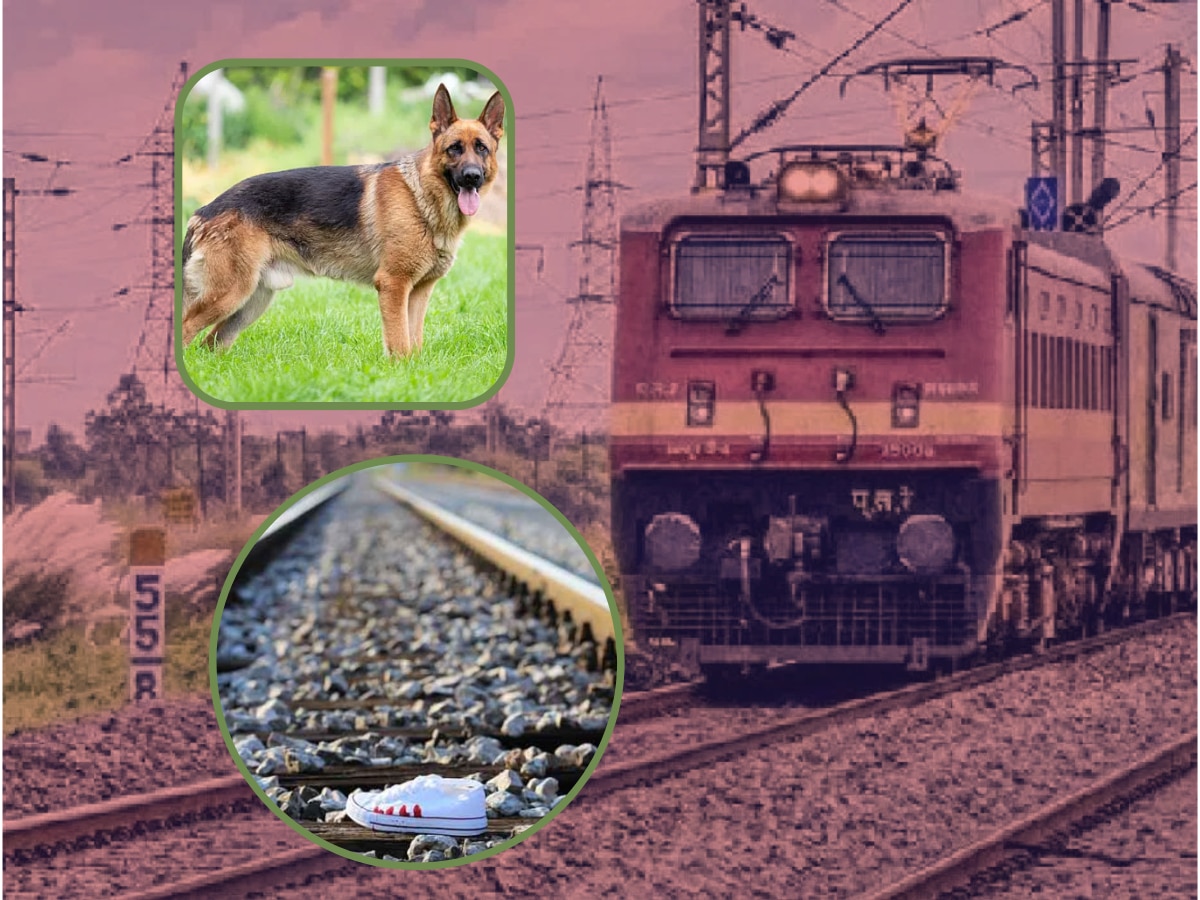 शाळा सुटल्यावर मागे लागला कुत्रा, रेल्वे ट्रॅकवर चढले भाऊ-बहिण, इतक्यात वेगाने आली ट्रेन; 'पुढे जे घडलं..' title=
