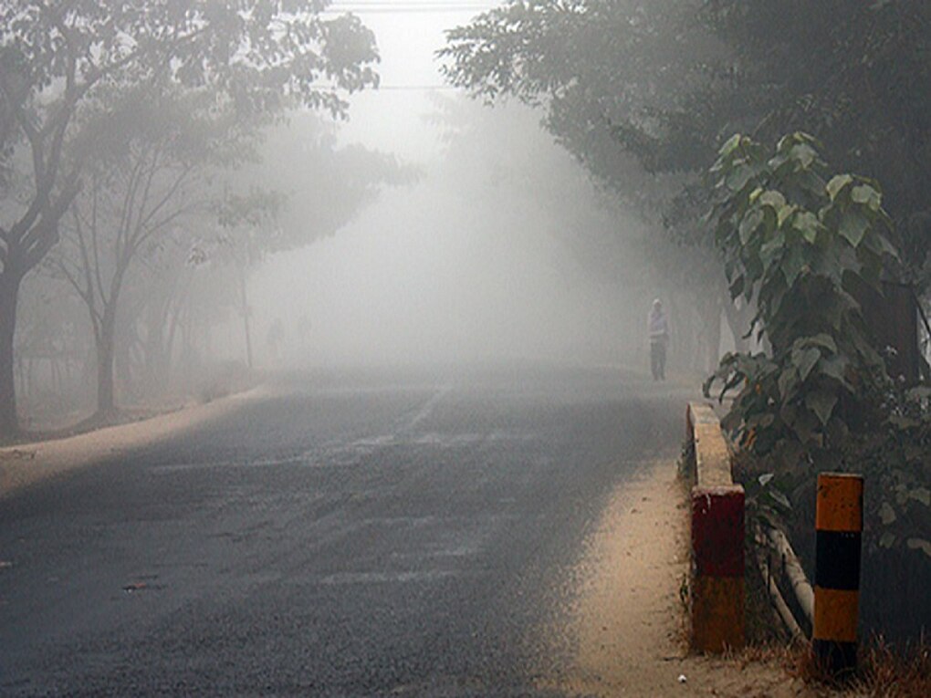 Weather Updates : कोकणापासून मुंबईपर्यंत महाराष्ट्र गारठला, नीचांकी तापमान पाहून हुडहूडीच भरेल!