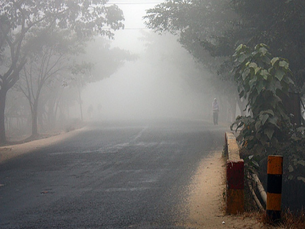 Weather Updates : कोकणापासून मुंबईपर्यंत महाराष्ट्र गारठला, नीचांकी तापमान पाहून हुडहूडीच भरेल! title=
