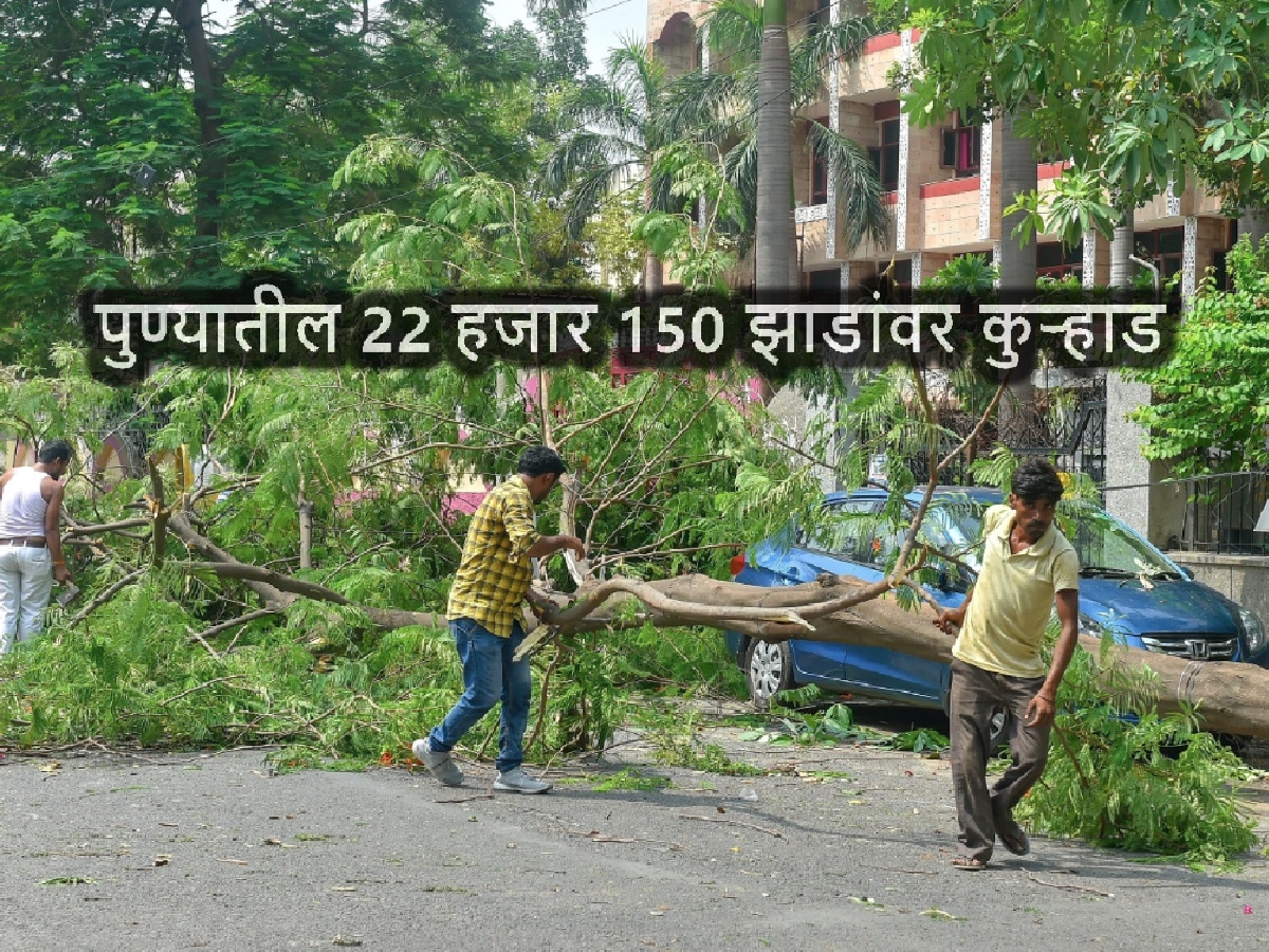 गुजरात मॉडेलच्या नादात पुण्यातील 22 हजार 150 झाडांवर पडणार कुऱ्हाड! धक्कादायक माहिती उघड title=