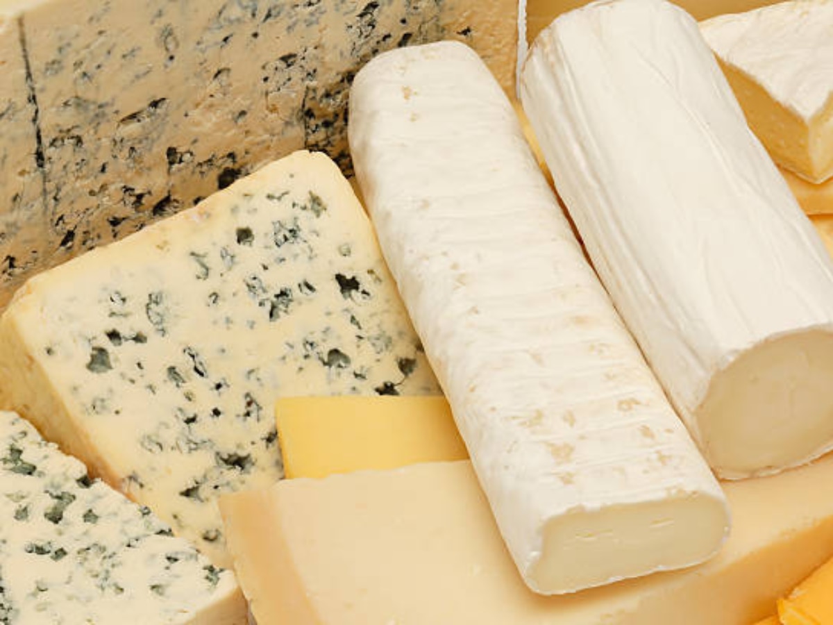 Health Benefits of Blue Cheese : हाडांना लोखंडासारखा टणक करेल ब्लू चीज, खाण्याचे जबरदस्त फायदे  title=