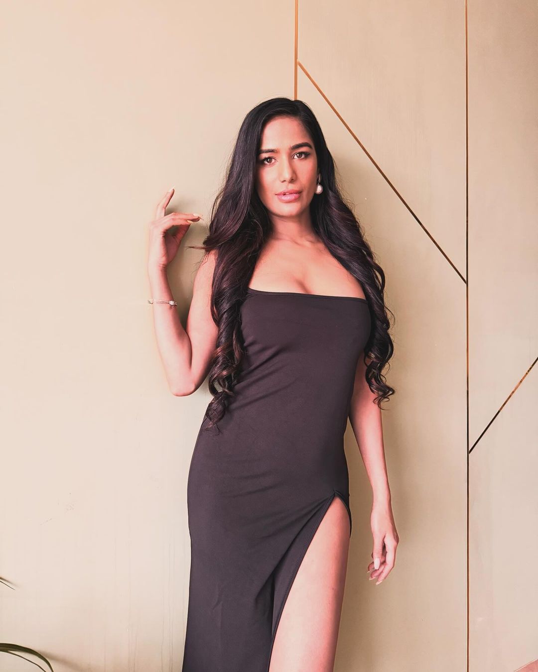 Poonam Pandey death net worth property lavish lifestyle how she earn money