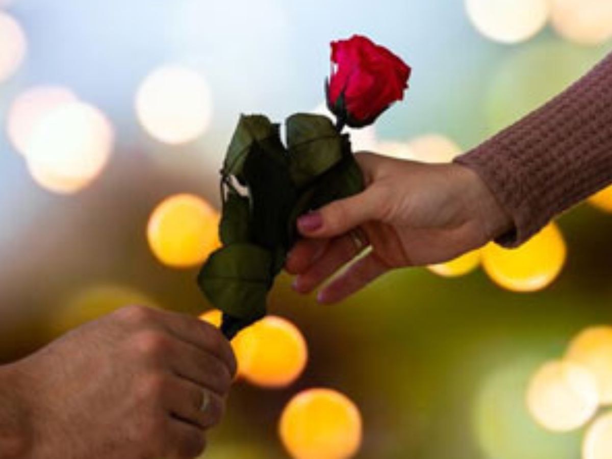 Rose Day 2024: गुलाबाच्या रंगाचे 'हे' महत्त्व तुम्हाला माहित आहे का? नाहीतर रोज डेला कराल चूक  title=