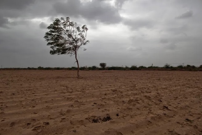 El Nino conditions decrease might raise hopes for satisfactory monsoon in India says Meteorological department 