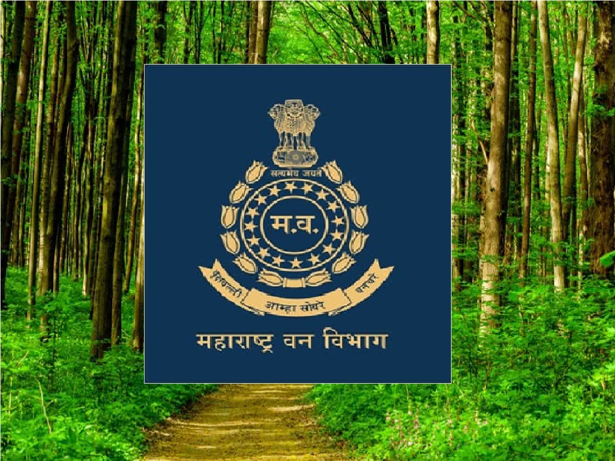 नागपूर, नाशिकनंतर कोल्हापुरातही वनरक्षक पदाच्या भरती प्रक्रियेत मोठा गोंधळ; परिक्षा उत्तीर्ण होऊनही नोकरी मिळणे कठिण | After Nagpur Nashik Kolhapur also ...