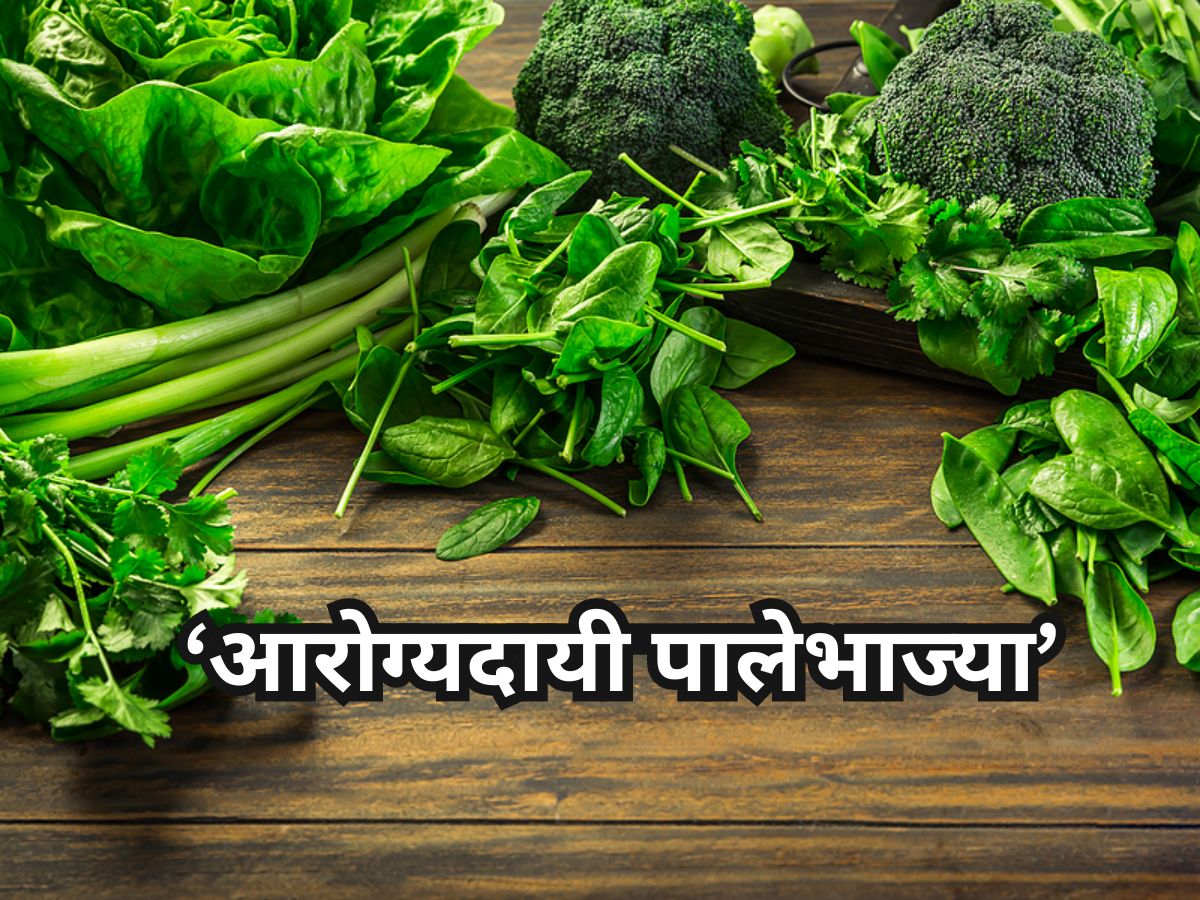 आरोग्यदायी पालेभाज्या, निरोगी राहण्यासाठी आत्ताच आहारात समावेश करा