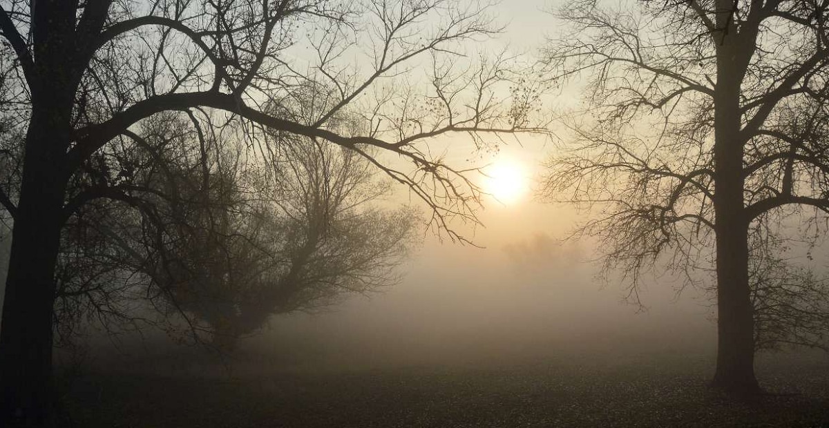 Maharashtra Weather temperature might drop down latest updates 