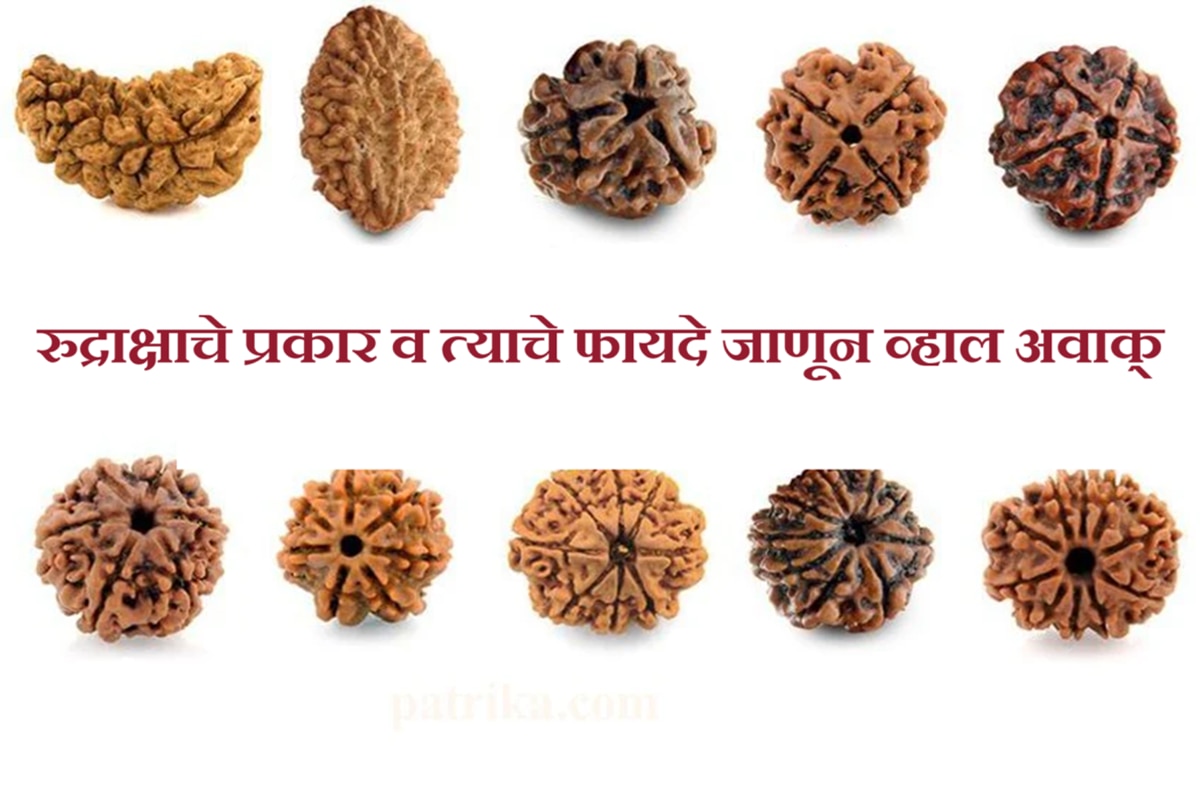 Kodo Raksha Rudraksha Benefits : रुद्राक्षाचे प्रकार आणि त्याचे फायदे जाणून व्हाल ...