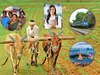 राज्याच्या अर्थसंकल्पांची 10 ठळक वैशिष्ट्ये वाचा एका क्लिकवर 