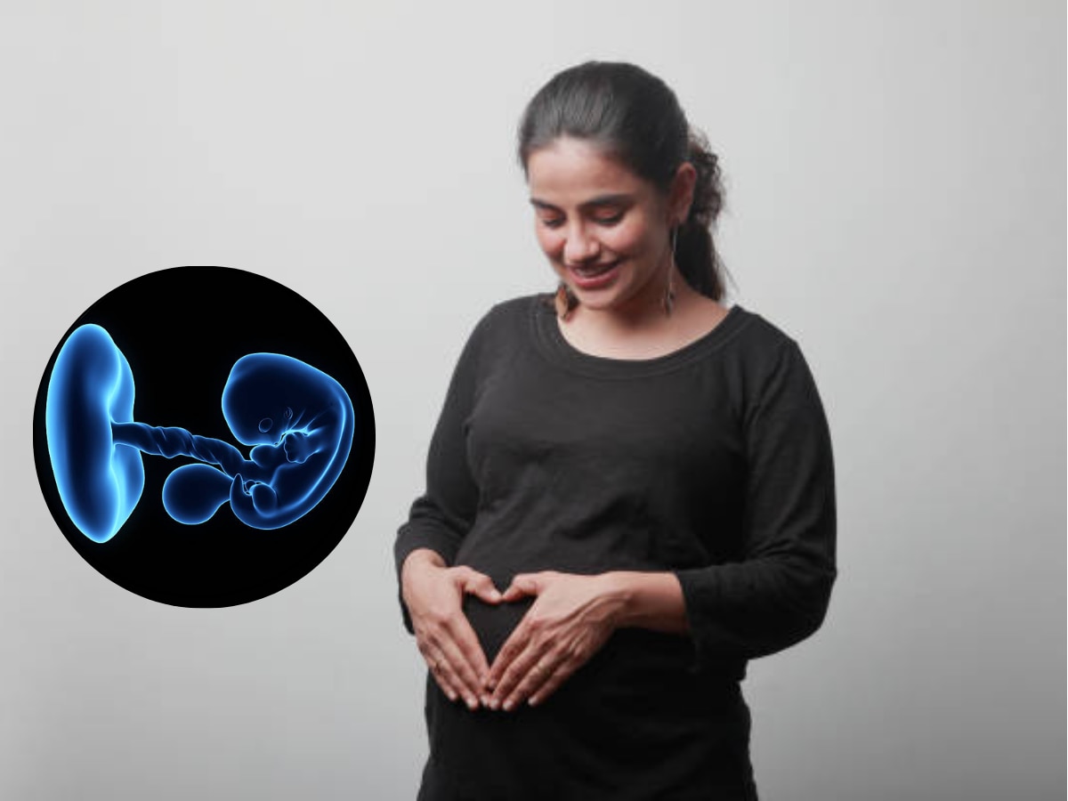 Fetal Development : सातव्या आठवड्यात गर्भात मेंदूचा आणि हाडांचा होतो विकास, एक चूकही पडते भारी  title=