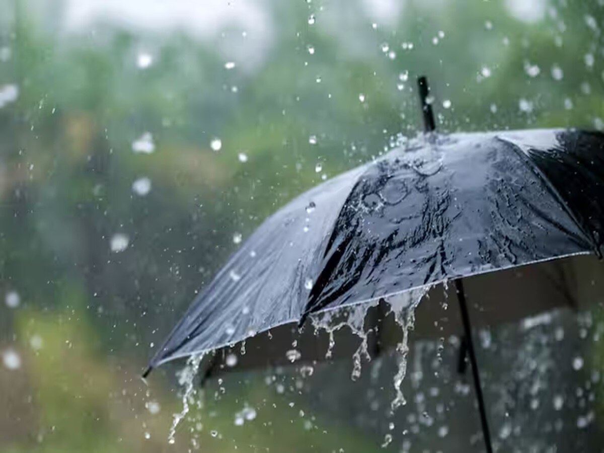 Weather Forecast : आजही 'या' भागात पावसाची शक्यता; विदर्भ,मराठवाड्यात हवामान खात्याचा अंदाज काय?  title=