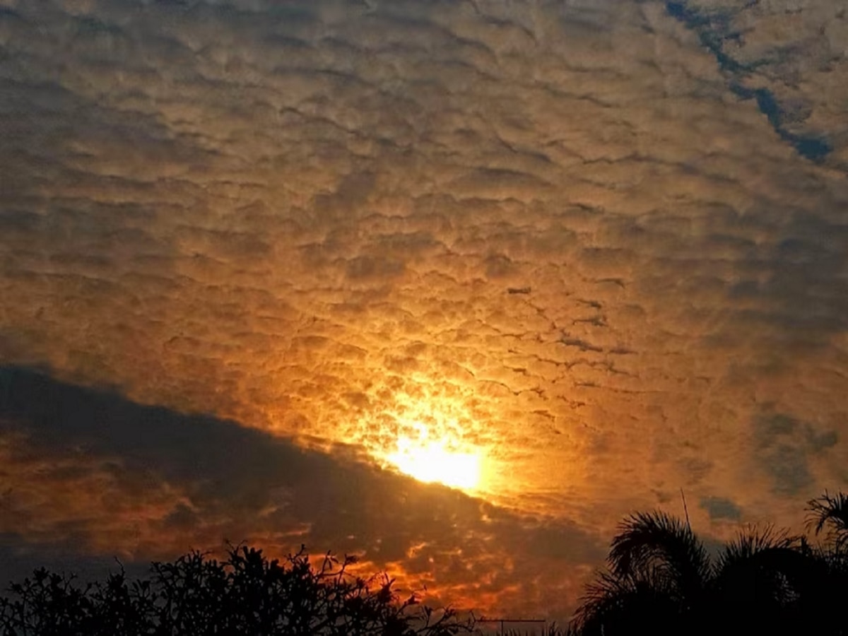 Weather Update : राज्यात उन्हाचा दाह वाढला; 'या' भागांत अवकाळीच्या सावटामुळं वातावरणाची ऐशी की तैशी!  title=