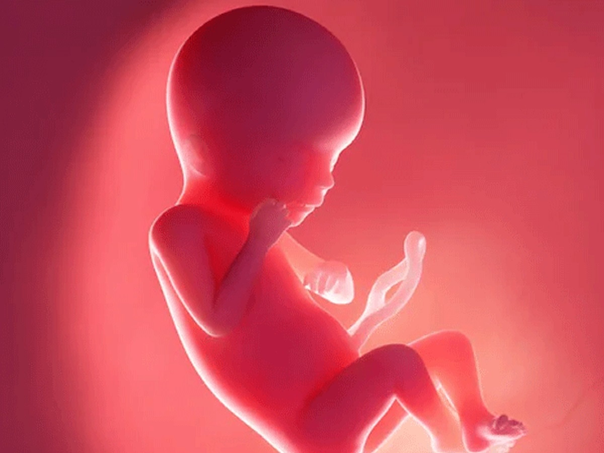 आता गर्भातच टाळता येणार बाळाचं अपंगत्वं; शास्त्रज्ञांनी सांगितले कारण...  title=