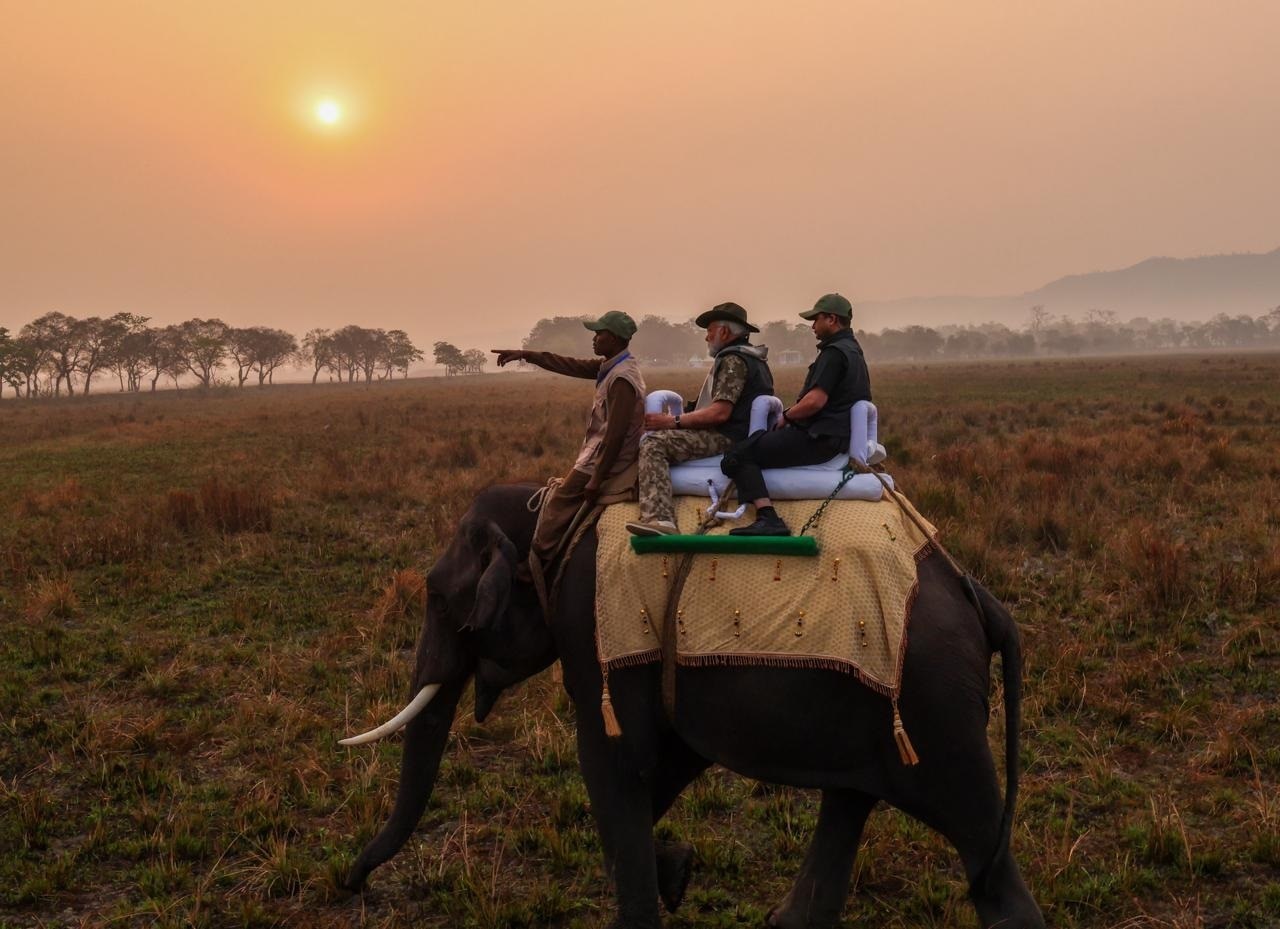 pm modi safari ride on elephant