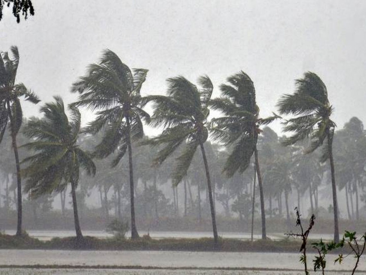 Maharashtra Weather Update: पुढचे 2 दिवस 'या' भागांना अवकाळी पावसाचा फटका; जाणून घ्या हवामान अंदाज title=