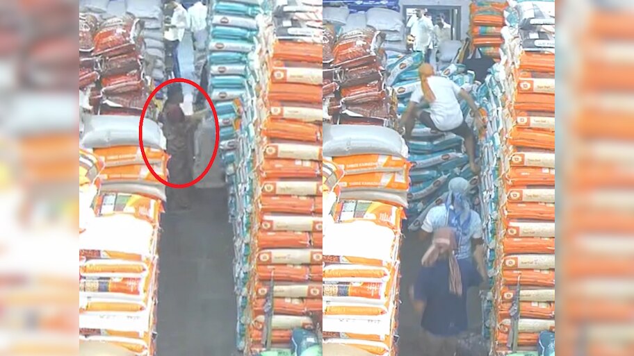महिलेवर पडल्या तांदळाच्या गोण्या; माथाडी कामगारांच्या चपळाईमुळे वाचला ...