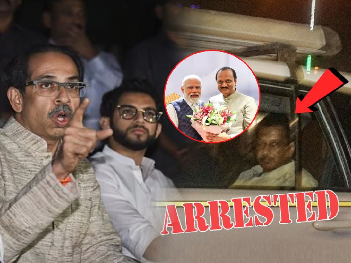 '..तर केजरीवाल अजित पवारांप्रमाणे..', 'डरपोक' म्हणत ठाकरेंचा हल्लाबोल