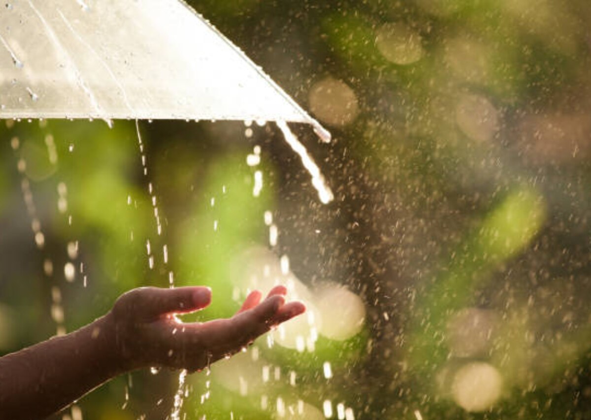 Maharashtra Weather News : राज्याच्या 'या' भागात उष्णतेचा यलो अलर्ट! हवामान विभागाचा चिंता वाढवणारा इशारा