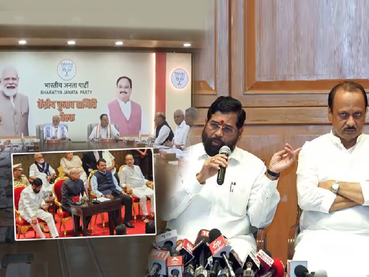 शिंदे, अजित पवारांनाच विचारा ते पक्ष फोडून..; फोडाफोडीच्या राजकारणावर केंद्रीय मंत्र्याची रोखठोक भूमिका