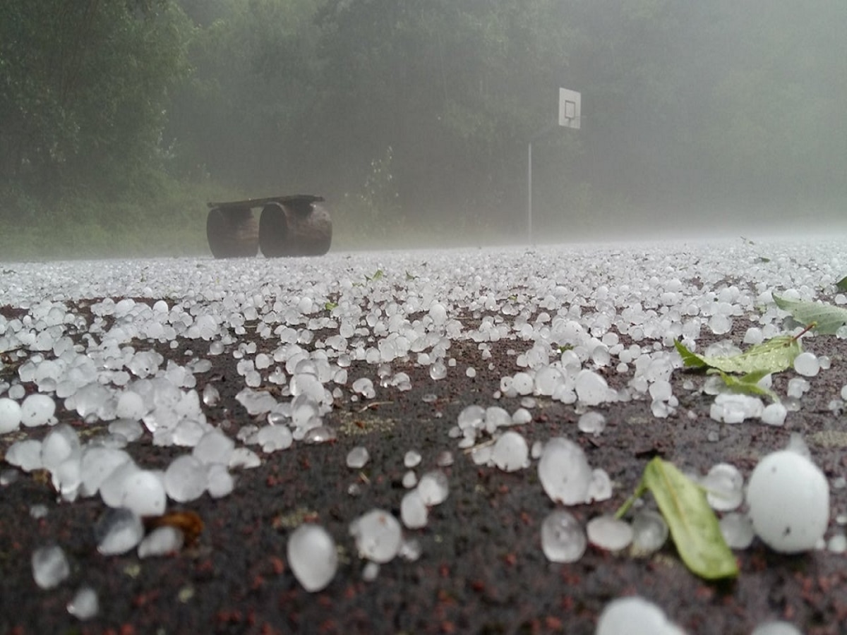 Maharashtra Weather News : वादळी वारा, गारपीटीमुळं राज्याच्या 'या' भागांत ऑरेंज अलर्ट; 'इथं' उन्हाचा तडाखा वाढणार  title=