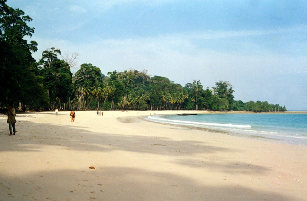 Konkan anjarle beach feels like goa turtle festival details 