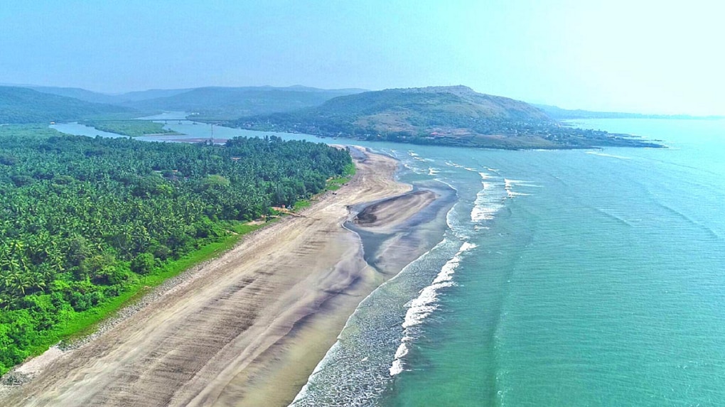 Konkan anjarle beach feels like goa turtle festival details 