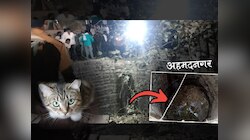 नगर हादरलं! मांजरीला वाचवताना 5 जणांचा विहरीत पडून मृत्यू; एकाच कुटुंबातील चौघांचा समावेश