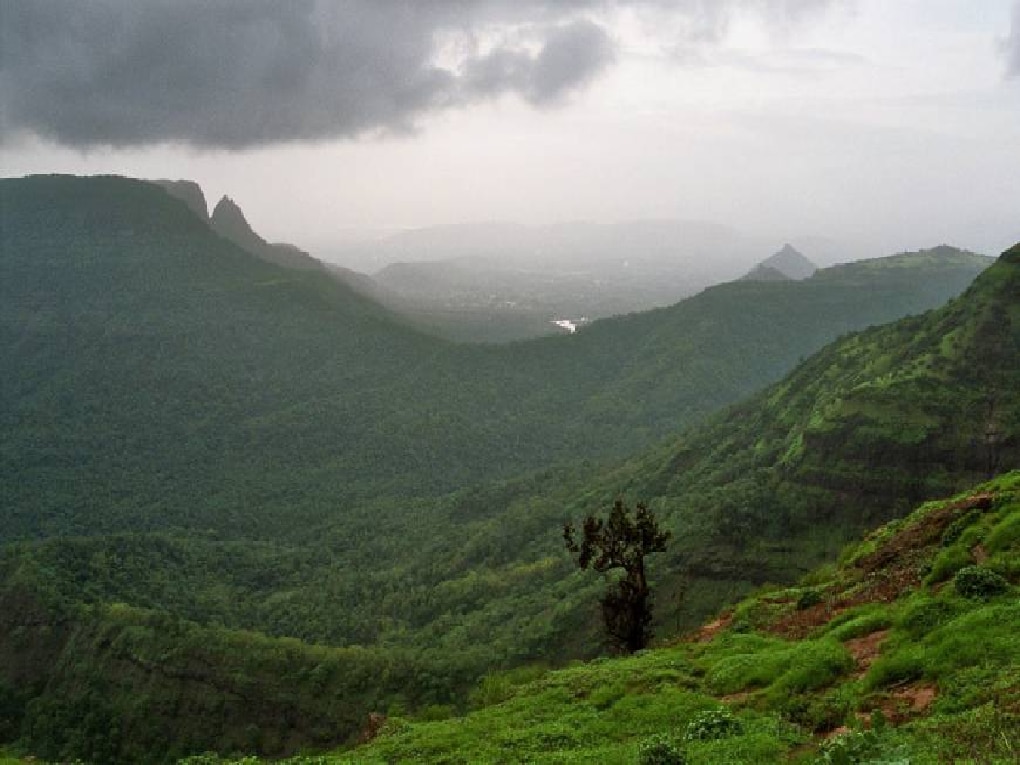 Monsoon 2025 मान्सून नेमका कधी येणार? शेतकऱ्यांसह संपूर्ण देशाला