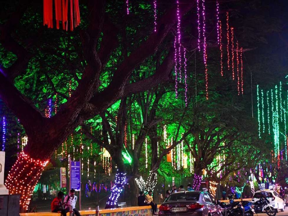 Mumbai News : सणावारांना झाडांवर रोषणाईची गरज काय? हायकोर्टाचा राज्य शासनाला थेट सवाल title=