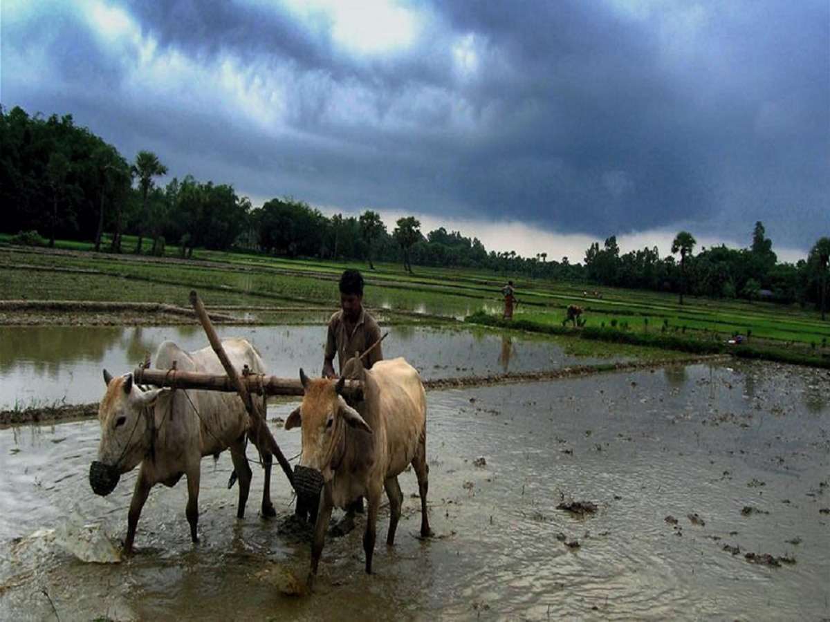 Monsoon 2024 : बळीराजासाठी आनंदाची बातमी! यंदा वरुणराजा सरासरीहून अधिक बरसणार.. IMDची माहिती title=