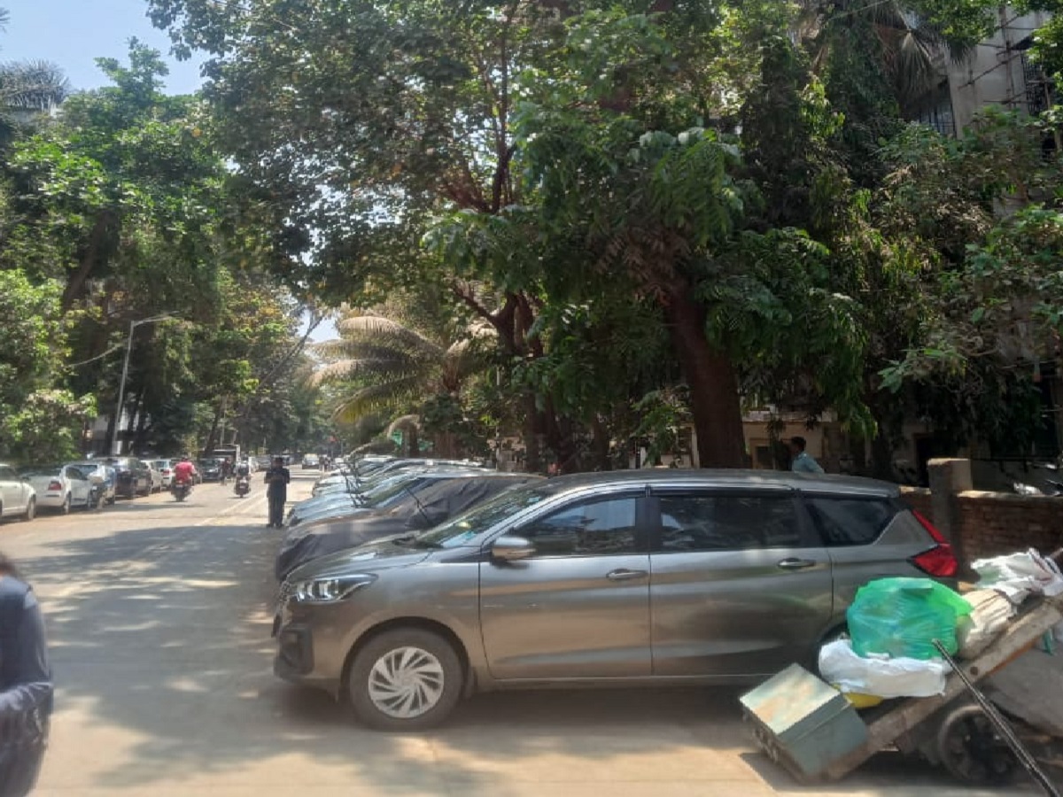 रस्त्यावर झाडांखाली कार पार्क करणाऱ्यांसाठी मोठी बातमी, मुंबई महापालिकेने घेतला 'हा' निर्णय रस्त्यावर झाडांखाली कार पार्क करणाऱ्यांसाठी मोठी बातमी, मुंबई महापालिकेने घेतला 'हा' निर्णय