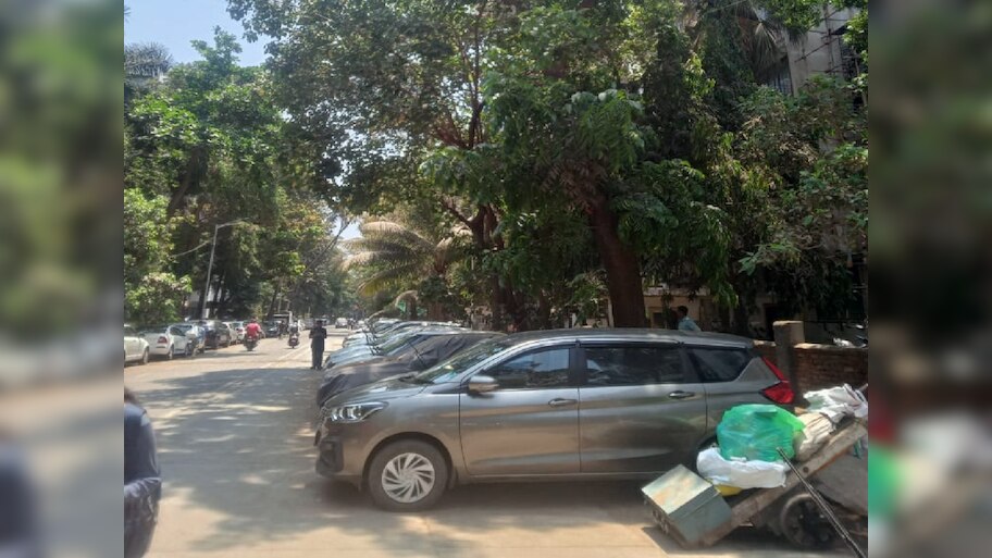 रस्त्यावर झाडांखाली कार पार्क करणाऱ्यांसाठी मोठी बातमी, मुंबई महापालिकेने घेतला 'हा' निर्णय 