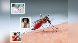 World Malaria Day 2024: 'या' 10 लक्षणांकडे दुर्लक्ष करु नका, असू शकतो मलेरिया