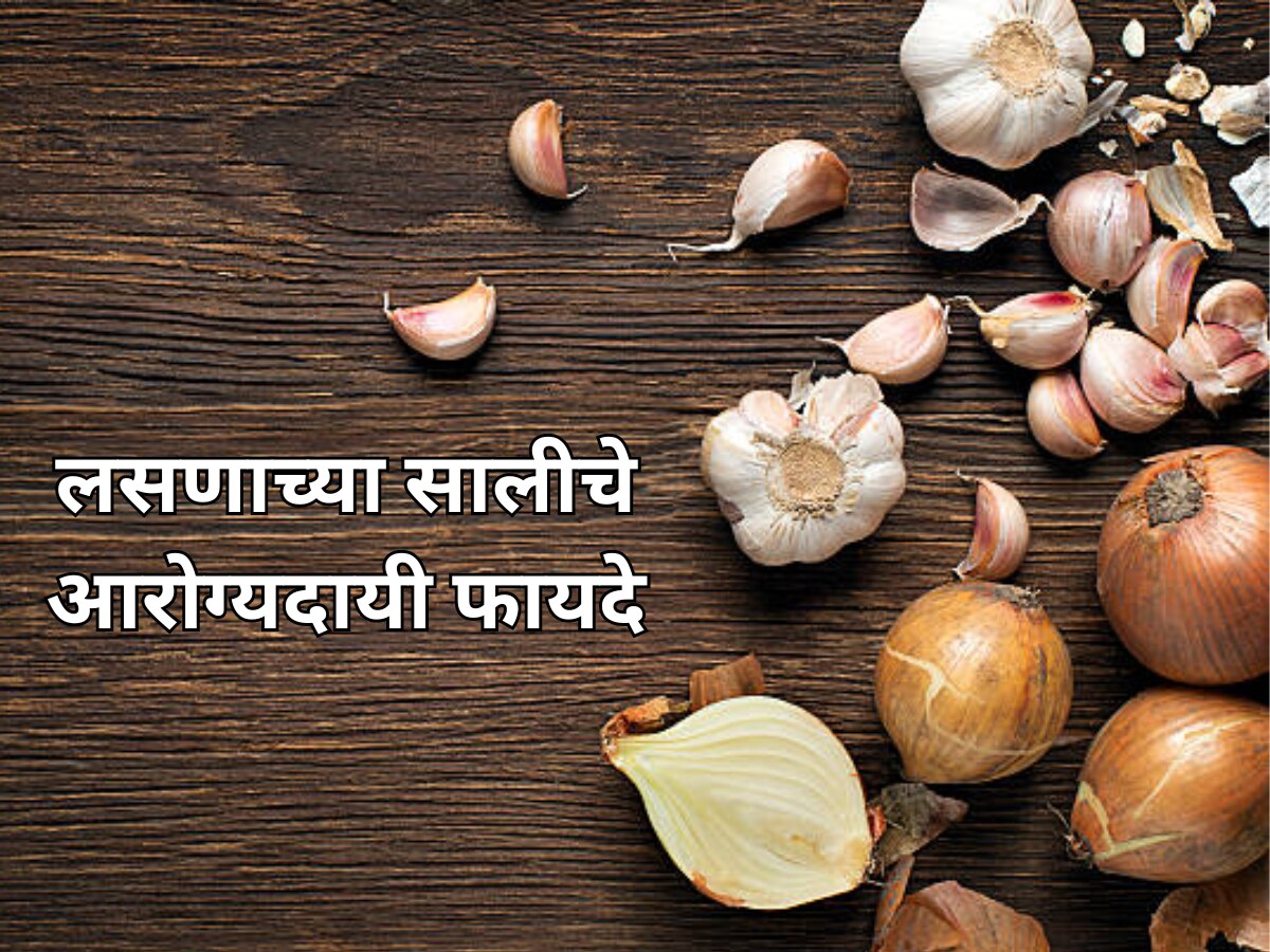Garlic Peel 5 Amazing Health Benefits in Marathi; 70 रुपये पाव किलो