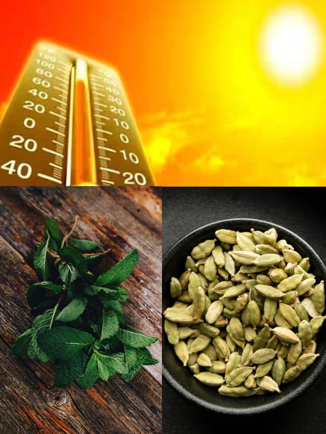 summer season, heat waves, lifestyle, health, herbs, de-hydration, heat stroke, zee media, zee24tass, health care, 
