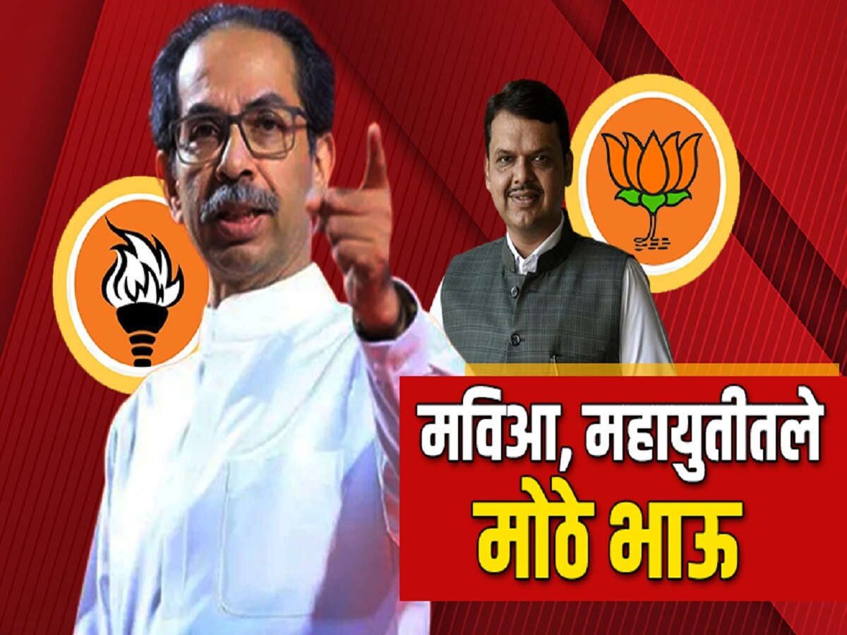 महायुतीत भाजप तर महाविकासआघाडीत शिवसेना ठाकरे गट 'मोठा भाऊ' ; कुणाच्या वाट्याला किती जागा?