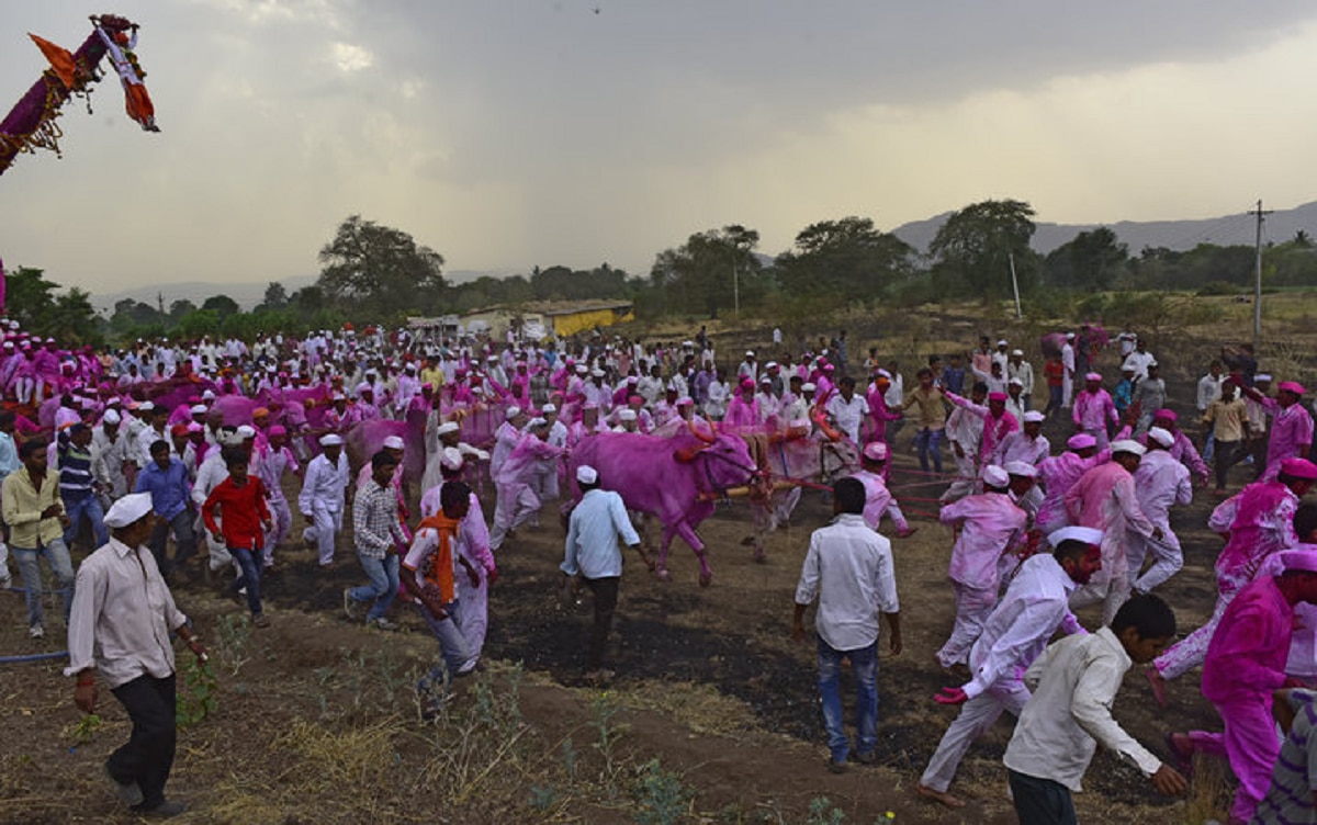 satara news jitoba bagad yatra photos 