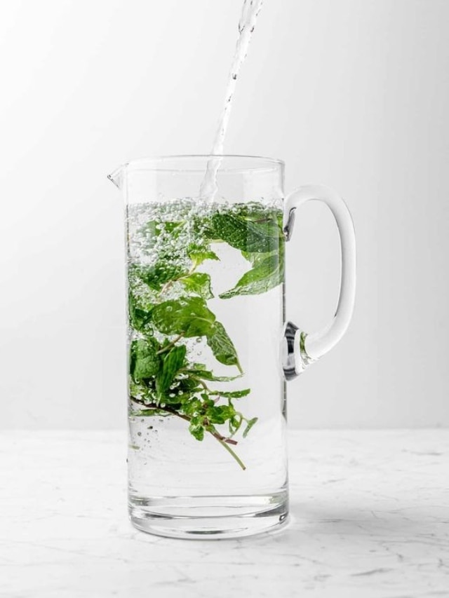 mint water, Pudina Water For Weight Loss,mint benefits, weight loss, digestion, summer tips, summer care tips, Health,Pudina Water benefits, health, health news, health news in marathi, lifestyle, lifestyle news, lifestyle news in marathi, 