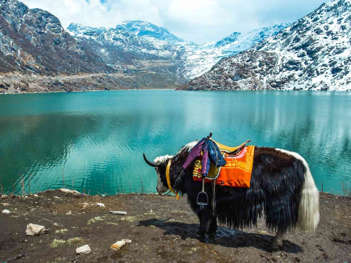 travel sikkim witnessed highest number of tourists in 2024 best places to visit 